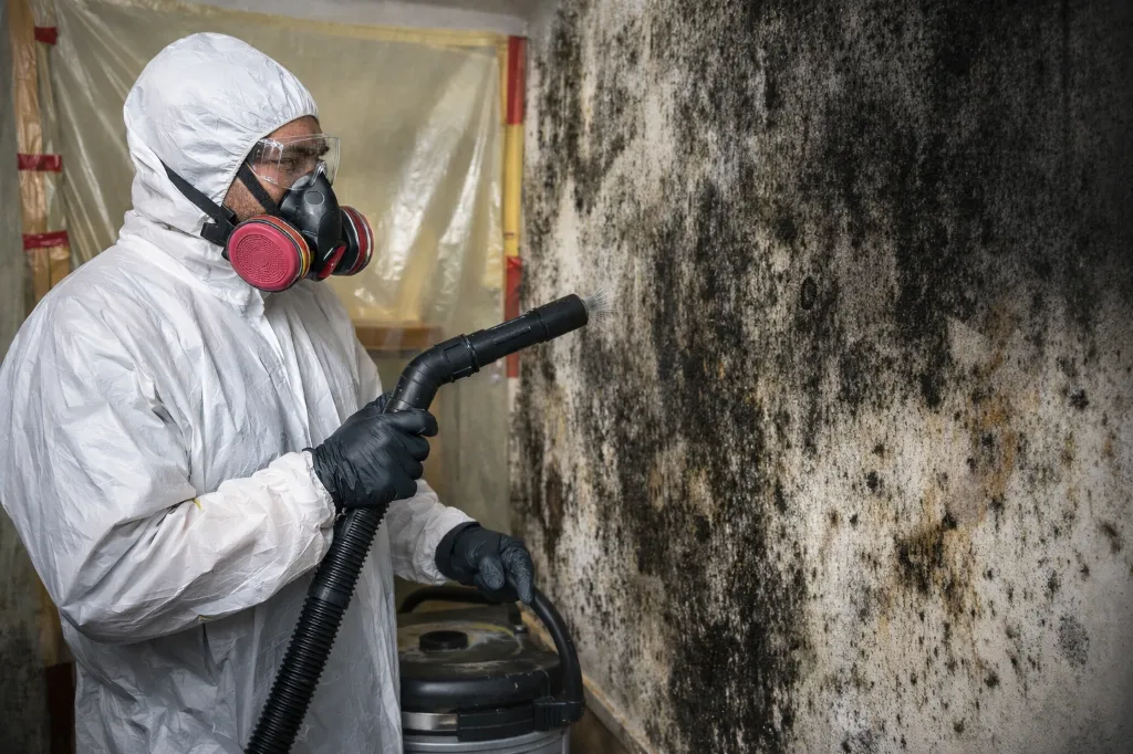 mold2.webp