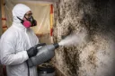 Mold Removal