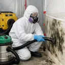  Mold Removal
